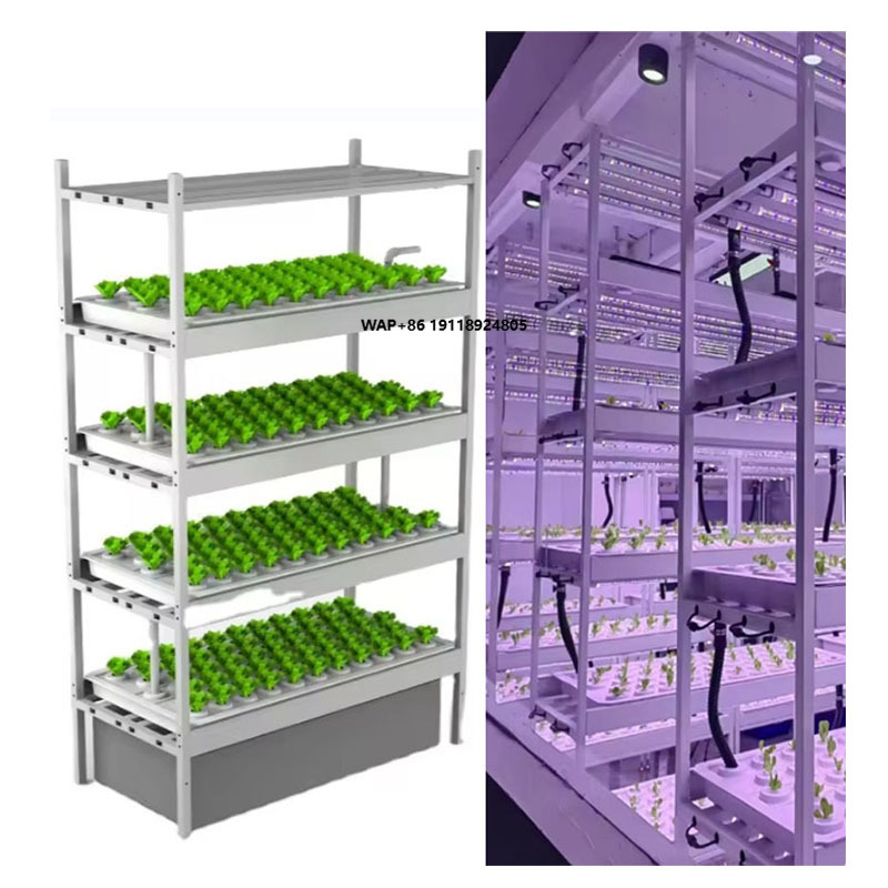 Hydroponic Farming Agriculture - Vertikales Hydroponik-Turmsystem für den Innenbereich: Pflanzregal,