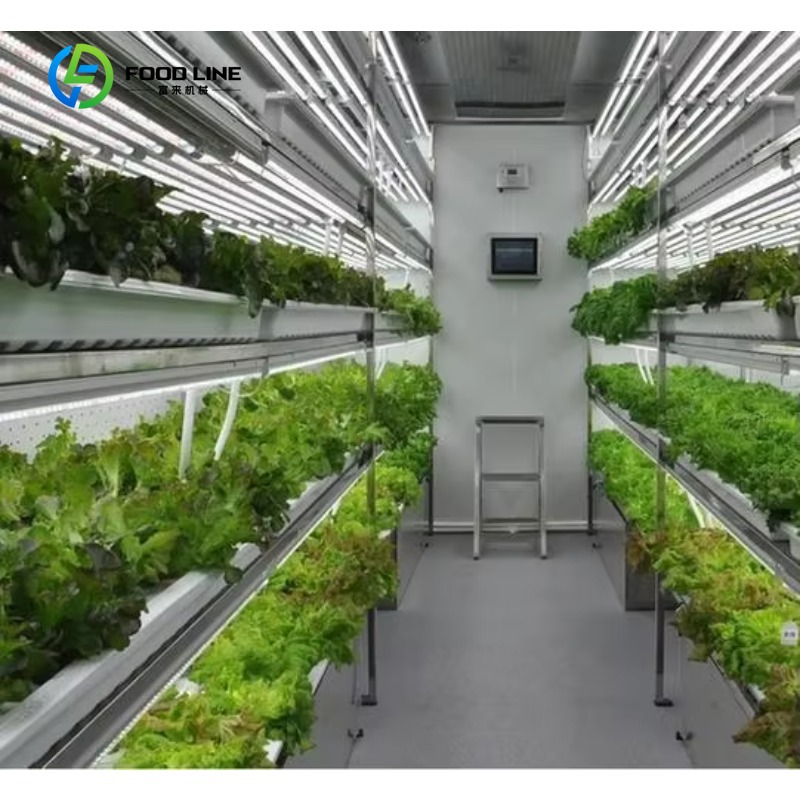 Hydroponic Farming Agriculture - Maßgeschneidertes Smart Farm Vertikales NFT-Hydroponik-System Stahlcontainer-Gewächshaus