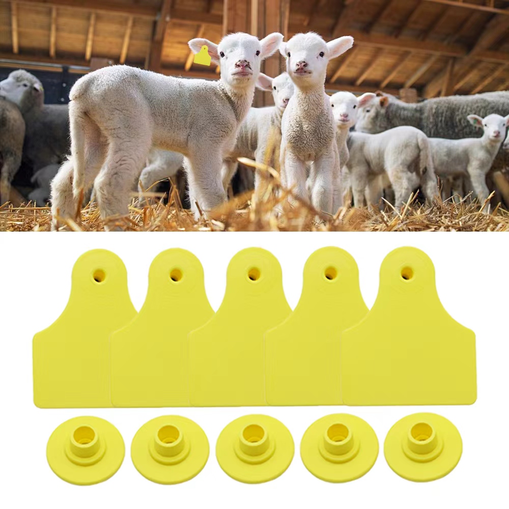 Livestock Ear Tag - 20 Stück 40*50mm Leere Ohrmarken für