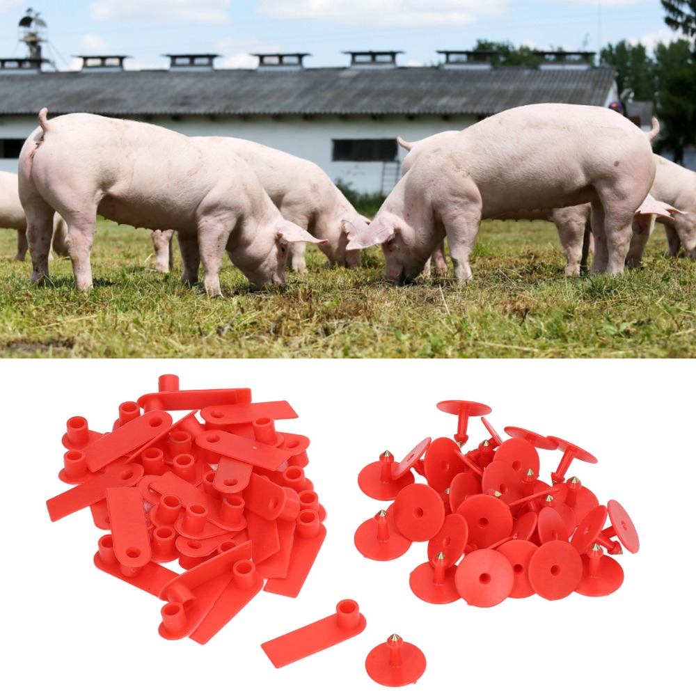Livestock Ear Tag - 100 Stück Handbeschriftbare Leere Vieh-Ohrmarken aus