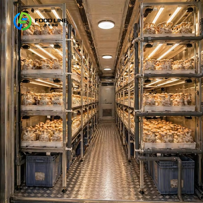 Modulare Container-Farm für In – Hydroponic Farming Agriculture Bewertung und Preis