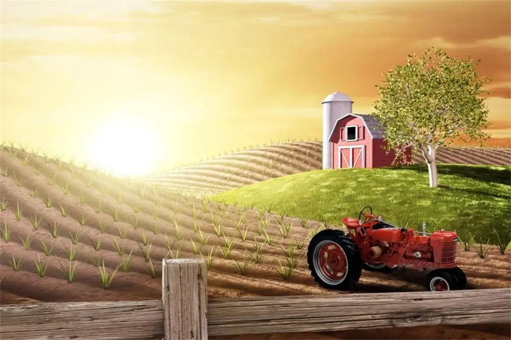 Morgenliche Einfamilienfeier a – Agriculture Farming Background Bewertung und Preis