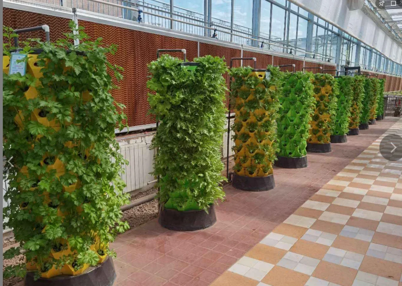 Landwirtschaftliche Gewächshäu – Hydroponic Farming Agriculture Bewertung und Preis