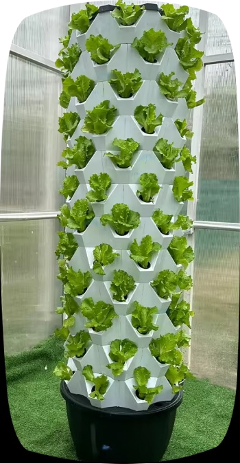 Vertikale Gartenturmräder, meh – Hydroponic Farming Agriculture Bewertung und Preis