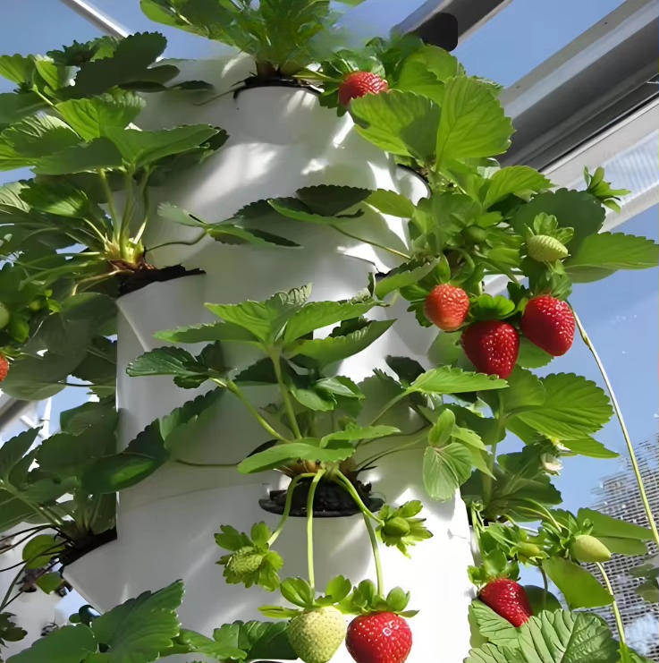 Modulares Hydroponik-Wachstums – Hydroponic Farming Agriculture Bewertung und Preis