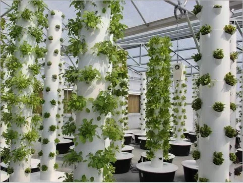 Hochwertiges landwirtschaftlic – Hydroponic Farming Agriculture Bewertung und Preis