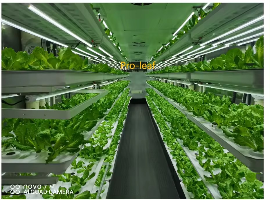 f Gewächshaus, landwirtschaftl – Hydroponic Farming Agriculture Bewertung und Preis