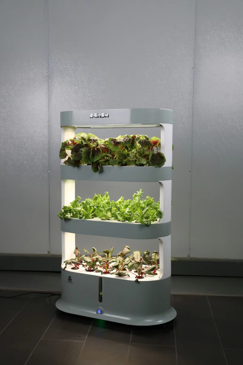Fabrik-Großhandel Einzigartige – Hydroponic Farming Agriculture Bewertung und Preis