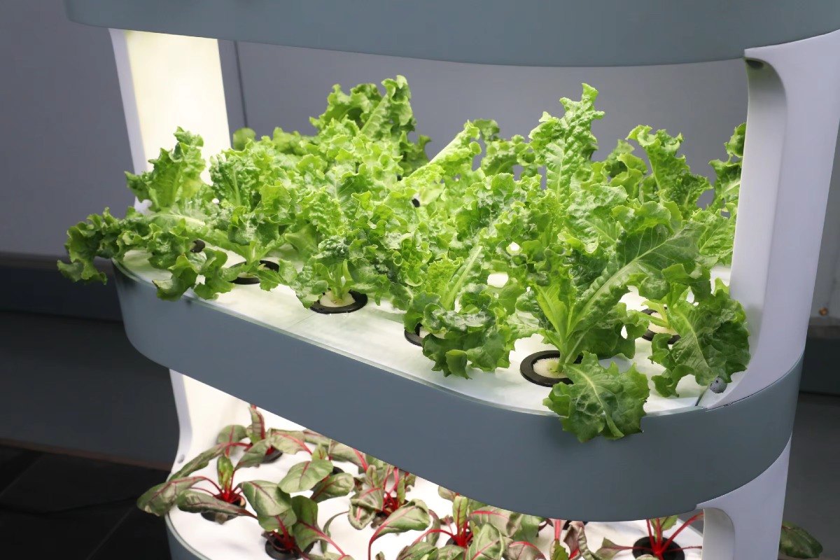 Fabrik-Großhandel Einzigartige – Hydroponic Farming Agriculture Bewertung und Preis