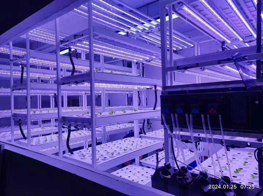 Kleines vertikales Hydrokultur – Hydroponic Farming Agriculture Bewertung und Preis