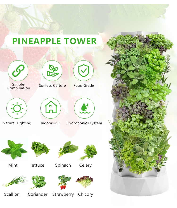 Verbesserte Indoor-Farming- un – Hydroponic Farming Agriculture Bewertung und Preis