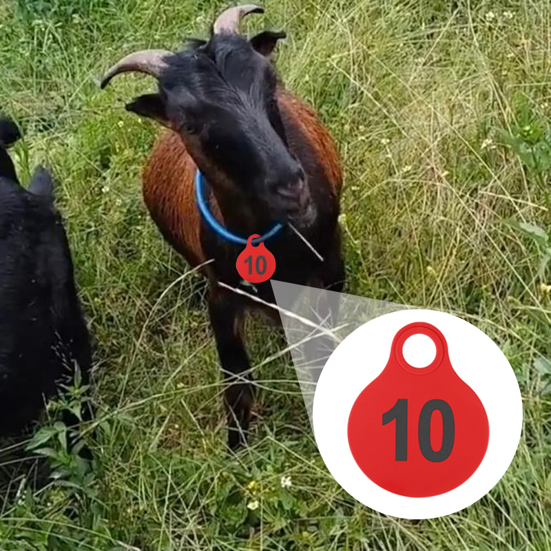 001-100 Hängeetiketten aus TPU – Livestock Ear Tag Bewertung und Preis