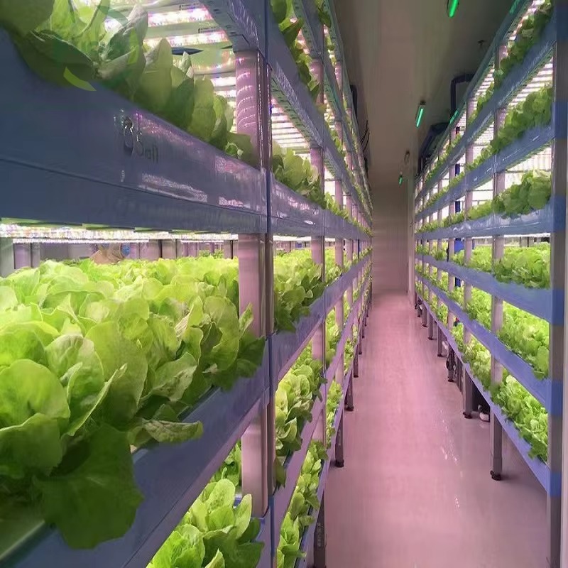 Maßgefertigte Landwirtschaftli – Hydroponic Farming Agriculture Bewertung und Preis