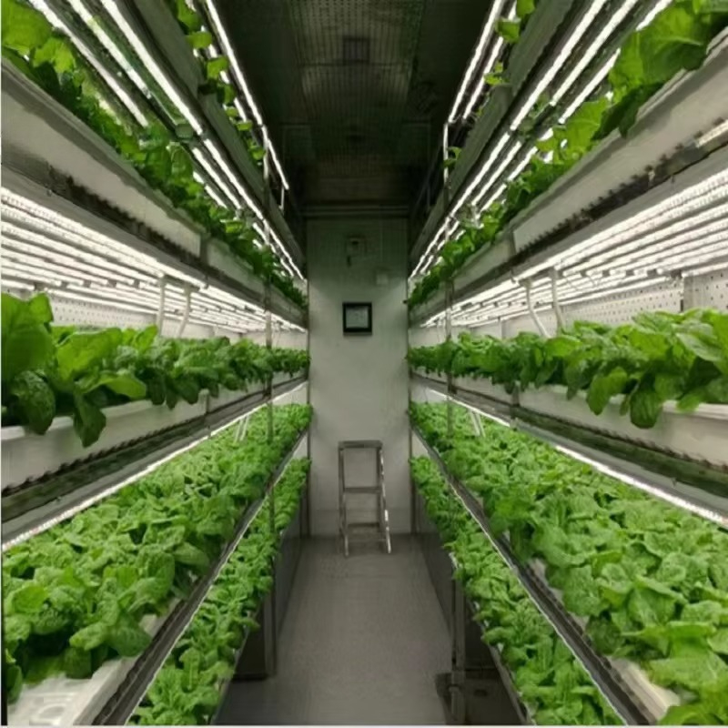 Maßgefertigte Landwirtschaftli – Hydroponic Farming Agriculture Bewertung und Preis