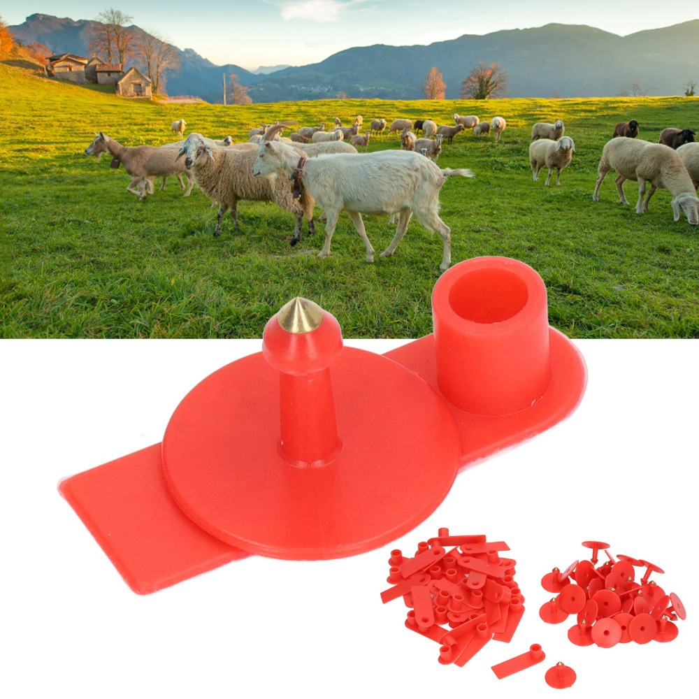 100 Stück Handbeschriftbare Le – Livestock Ear Tag Bewertung und Preis