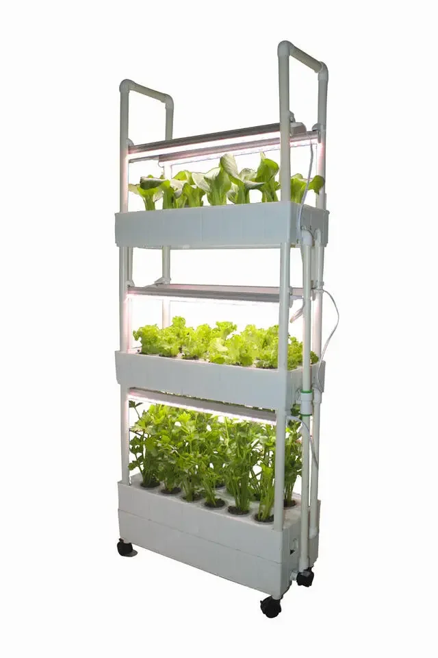 Anpassbare Hydrokultur-Anbaure – Hydroponic Farming Agriculture Bewertung und Preis