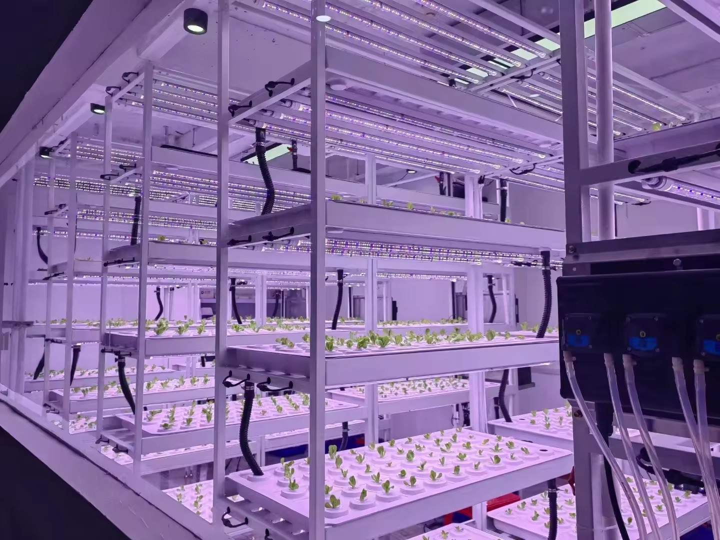 Vertikales Farm-Hydroponik-Tur – Hydroponic Farming Agriculture Bewertung und Preis